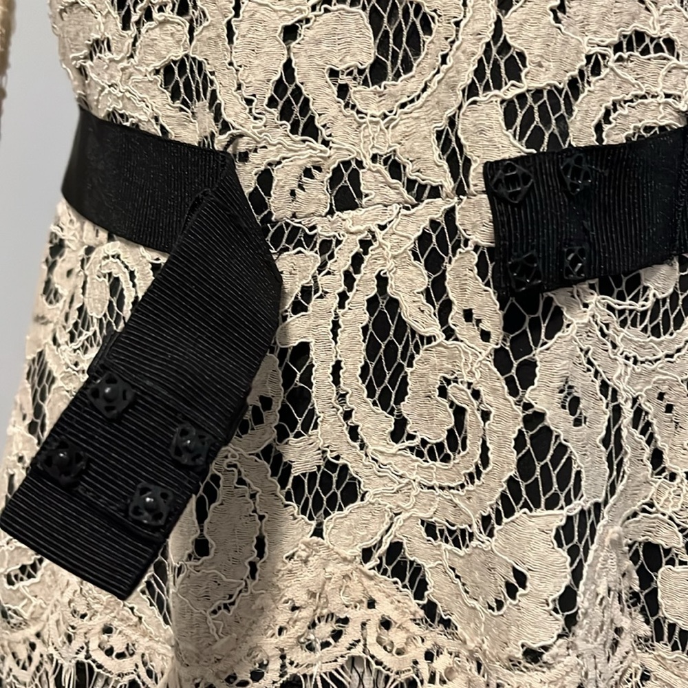 Tadashi Shoji Chantilly Lace Gown - Picture 7 of 15